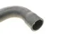 Патрубок водяного охолодження двигуна, зліва зверху BMW (FEBI) FEBI BILSTEIN 27461 (фото 4)