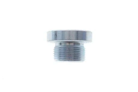 Болт піддону з шестигранною головкою Fischer Automotive One (FA1) 257.871.001