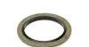 Пробка піддону масляного M18x1.5x21 (Fischer) Fischer Automotive One (FA1) 866.371.011 (фото 2)