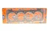 Прокладка головки блоку циліндрів (ГБЦ) (Fischer) Fischer Automotive One (FA1) EC1100-909 (фото 1)
