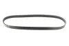 Пас приводной с длиной круга более 60см, но не более 180см Gates 4PK725XS (фото 1)
