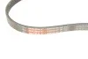Поликлиновые ремни Micro-V StretchFit Gates 4PK843SF (фото 2)