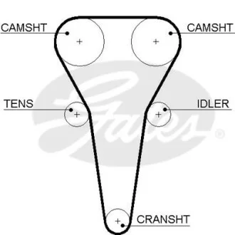 Ремінь ГРМ Gates 5567XS (фото 1)