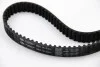 Ремінь ГРМ Jumpy/Expert 2.0HDi 00-07/Nemo/Bipper 1.4HDi 08- (144z) 5588XS