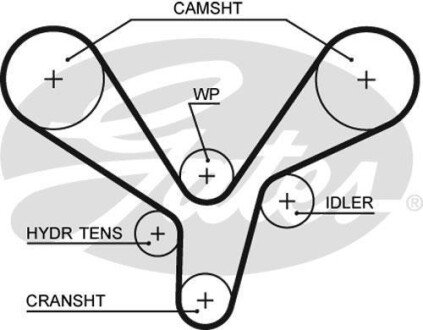 Пас ГРМ з довжиною кола понад 150см, але не більш як 198см Gates 5636XS