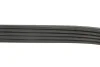 Ремінь поліклін. DAEWOO ESPERO, LANOS Gates 5PK1013 (фото 4)