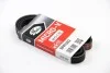 Ремень генератора Passat B5/Audi A4/A6 1.6/1.8 95&gt; Gates 5PK1303 (фото 3)