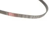 Поликлиновые ремни Micro-V Gates 5PK1425 (фото 3)