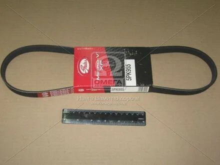 Ремінь поліклін. Gates 5PK955
