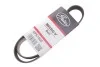 Ремінь генератора OM601/602 (-PS)/Polo/Fabia 1.4TDI Gates 6PK1000 (фото 2)