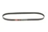 Ремень генератора Scudo/Expert/Berlingo 1.9D/TD 96&gt; (PS,-AC) Gates 6PK1113 (фото 1)