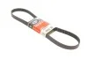Ремень генератора Scudo/Expert/Berlingo 1.9D/TD 96&gt; (PS,-AC) Gates 6PK1113 (фото 4)