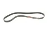 Ремень генератора Golf III/Passat B3/B4 1.9D/TDI (AC) Gates 6PK1148 (фото 1)