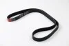 Ремінь генератора Jumper/Boxer 3.0 HDi Gates 6PK1163 (фото 3)
