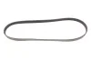 Ремінь генератора Jumper/Boxer/Ducato 2.0/2.2 HDi 02- Gates 6PK1173 (фото 1)