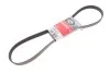 Ремінь генератора Jumper/Boxer/Ducato 2.0/2.2 HDi 02- Gates 6PK1173 (фото 2)