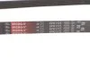 Ремінь генератора Jumper/Boxer/Ducato 2.0/2.2 HDi 02- Gates 6PK1173 (фото 4)