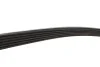 Ремень генератора Elantra/Santa Fe/Carens/Sportage 2.0-2.2 CRDI 01- Gates 6PK1513 (фото 3)