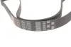 Ремінь генератора Golf IV/BMW/Ford/Opel Gates 6PK1540 (фото 2)