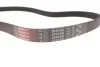 Ремінь генератора Combo 1.7CDTI (+AC) Gates 6PK1600 (фото 4)