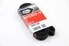 Ремень генератора Jumpy 1.9D/2.0HDI -07 (+AC) Gates 6PK1740 (фото 4)
