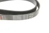 Ремінь поліклінової Gates 6PK1830XS (фото 4)