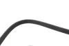 Поликлиновые ремни Micro-V XS Gates 6PK1853XS (фото 4)