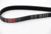 Ремінь генератора MB W203 2.0/2.2CDI Gates 6PK2193 (фото 1)
