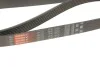 Поліклінові ремені Micro-V Gates 7PK1855 (фото 3)