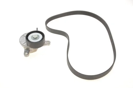 Комплект кулич поликлинового (6PK1025+T39292) VW 16/20TDI 1012- Gates K016PK1025