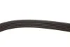 Ремкомплекти приводу допоміжного обладнання автомобілів Micro-V Kit Gates K055PK1545 (фото 7)