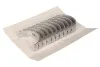 Комплект вкладышей двигателя Glyco H079/5 0.25MM (фото 1)