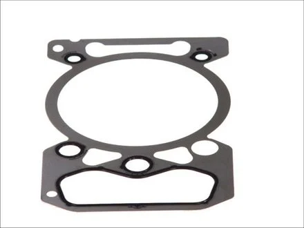 Прокладки головки блока Renault MIDR 06.20.35 /56 GOETZE 30-025716-00