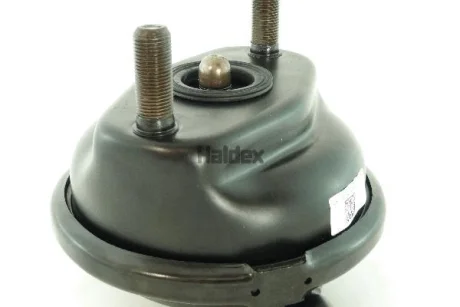Гальмівний енергоакумулятор задн (20, хід штока: 61мм, M12x1,5мм, диск) MERCEDES ACTROS, ACTROS MP2 HALDEX 125200405