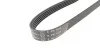 Полікліновий ремінь Poly V® (1010 K 5) HUTCHINSON 1010K5 (фото 4)