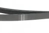 Ремінь генератора HUTCHINSON 1236 SK 5 (фото 3)