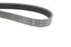 Полікліновий ремінь Poly V® (1253 K 5) HUTCHINSON 1253K5 (фото 3)