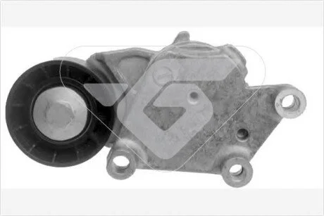 Ролик ремня навесного оборудования HUTCHINSON T0221