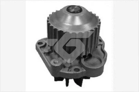 Насос водяний Citroen C5/Peugeot 406, 807/Renault Laguna 30 (00-) HUTCHINSON WP216