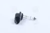 Автолампа Hyundai / Kia H27W/1 PGJ13 27 W прозора Hyundai/Kia/Mobis 1864727009 (фото 3)