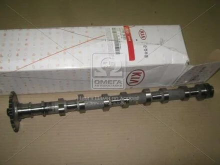 Розподвал впускний (Mobis) Hyundai/Kia/Mobis 241002A101