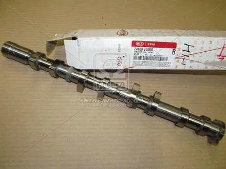 Розподвал впускний (Mobis) Hyundai/Kia/Mobis 241002G000
