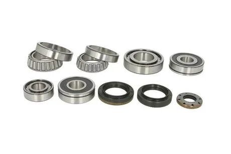 Сервисный набор КПП INA 462 0154 10 (фото 1)