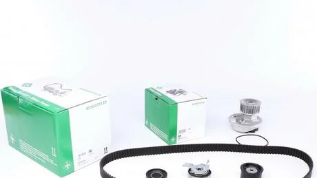 Комплект ГРМ із помпою INA 530004930