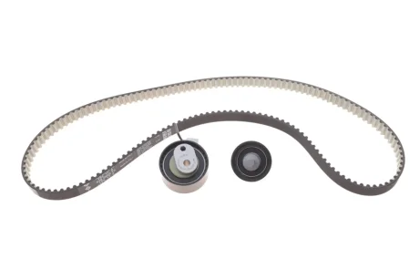 Комплект зубчастих ременів INA 530 0947 10