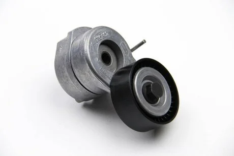 Натягувач ременя генератора Combo 1.3CDTi 04- INA 534 0053 10