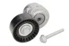 Натягувач ременя генератора Doblo 1.9D/JTD 01- INA 534 0101 20 (фото 1)