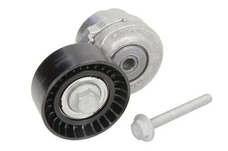 Натягувач ременя генератора Doblo 1.9D/JTD 01- INA 534 0101 20