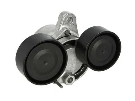 Натяжна планка поліклінового ременя BMW X6 (F16, F86) 08/14 - INA 534 0482 10