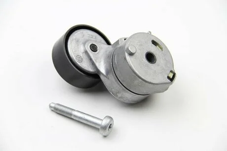 Натягувач ременя генератора Doblo 1.3JTD 05- INA 534 0607 10
